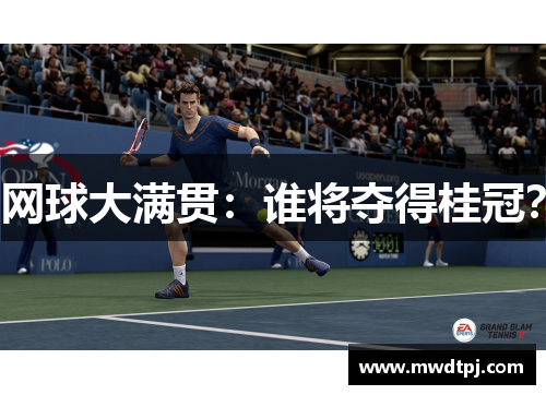 网球大满贯：谁将夺得桂冠？